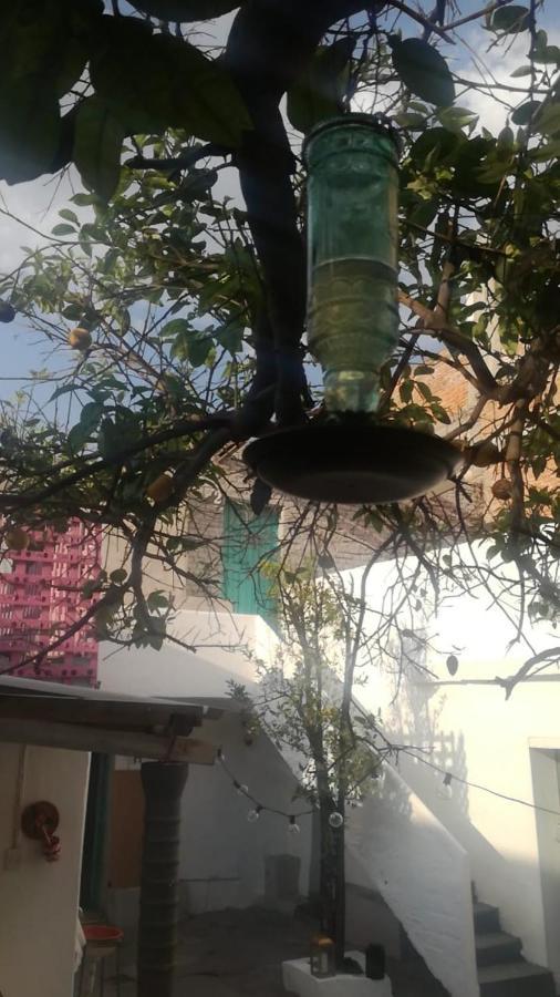 Patio Alojamiento Σαν Μιγκέλ ντε Αγιέντε Εξωτερικό φωτογραφία