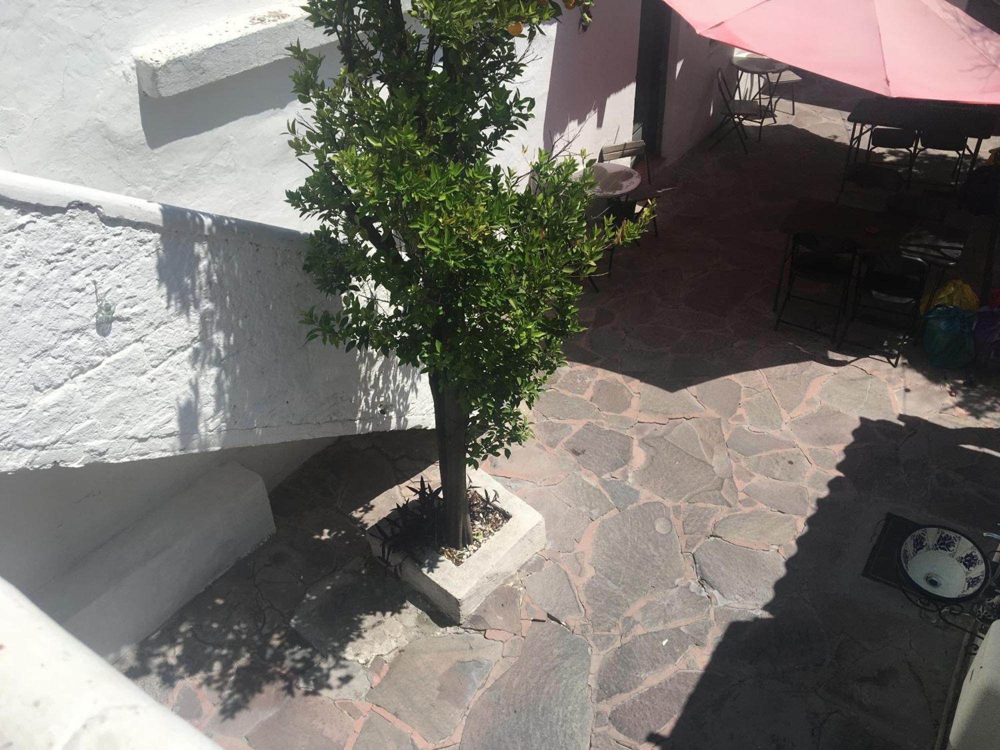 Patio Alojamiento Σαν Μιγκέλ ντε Αγιέντε Εξωτερικό φωτογραφία
